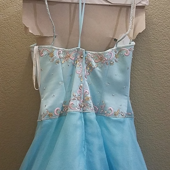 Cinderella prom dress - Picture 4 of 6